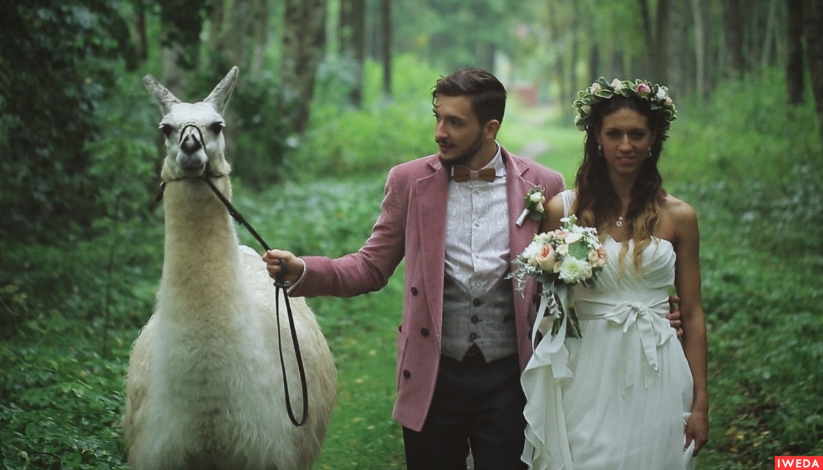 Tony & Mary - wedding day